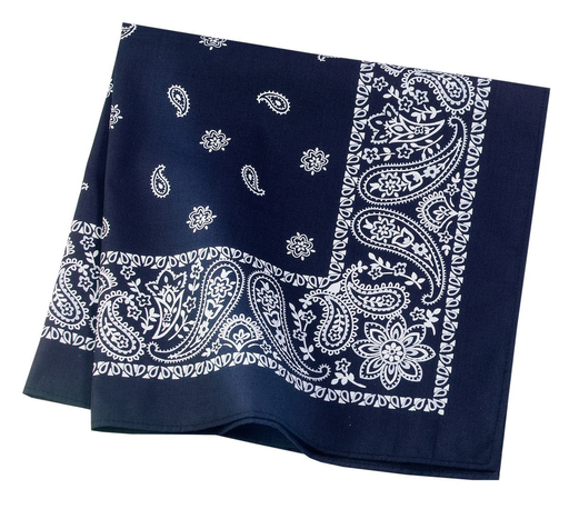 Blue bandana 